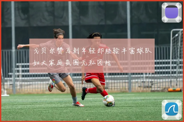 戈贝尔赞马刺年轻却经验丰富球队如大家庭氛围无私团结